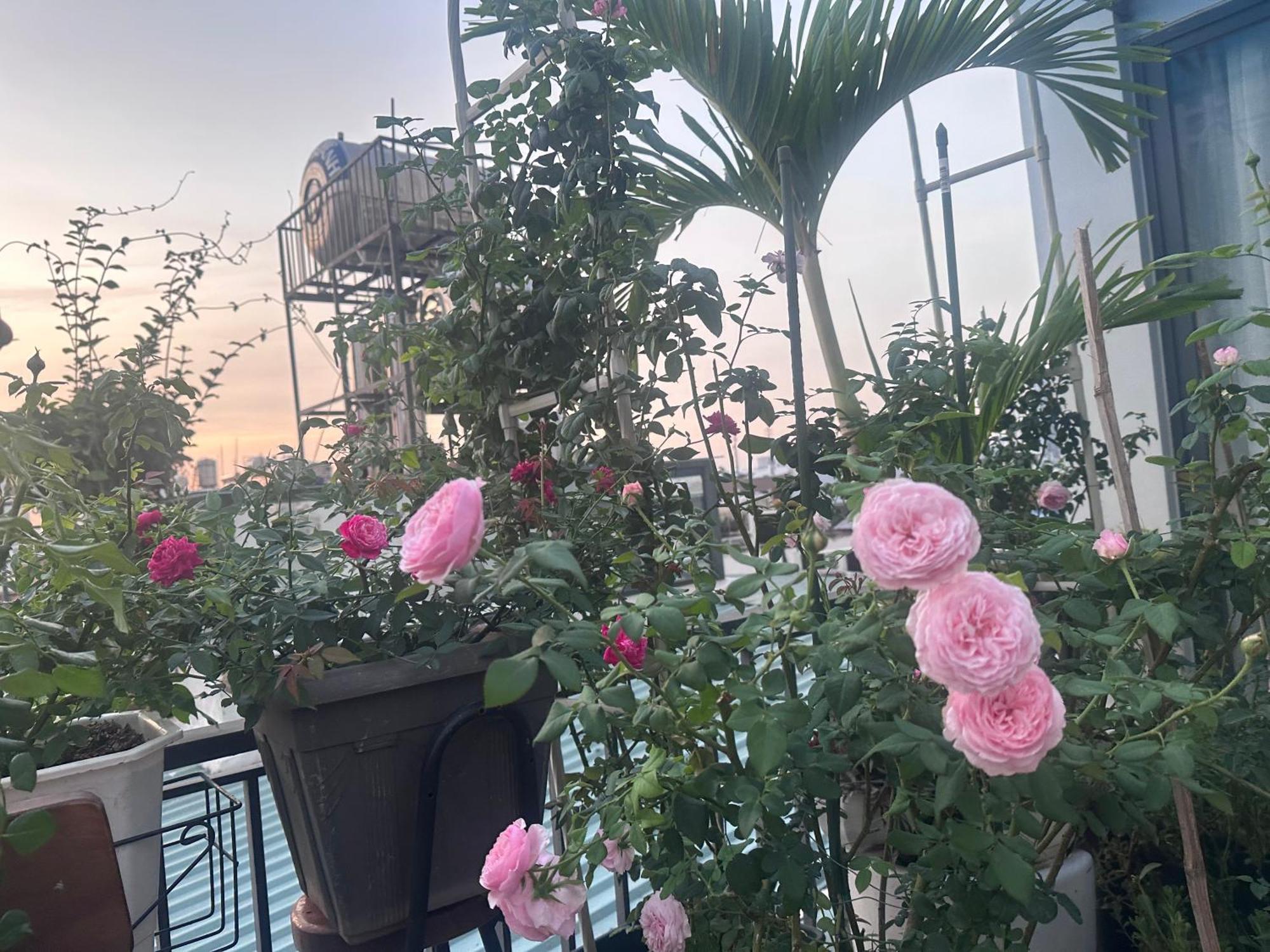 הו צ'י מין סיטי Homey Apartment מראה חיצוני תמונה